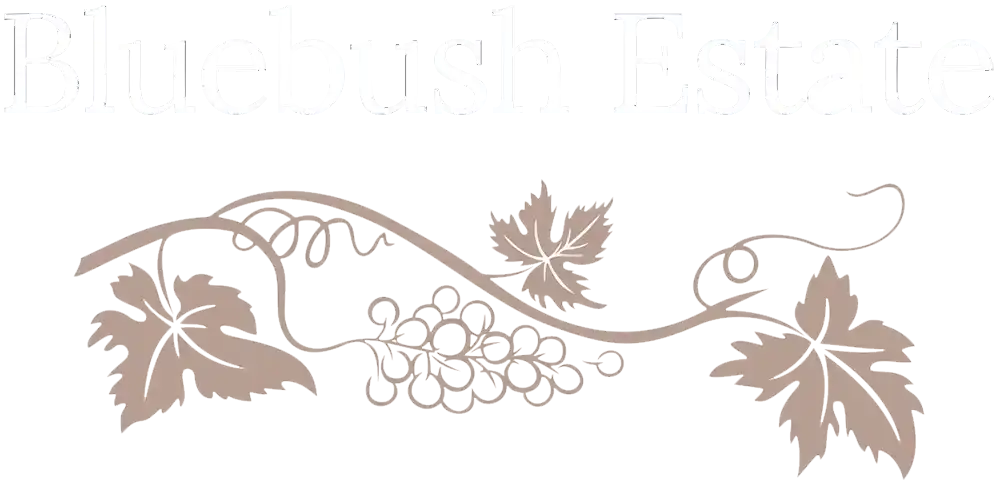 Bluebush Estate - Lovedale accommodation - Hunter Valley
