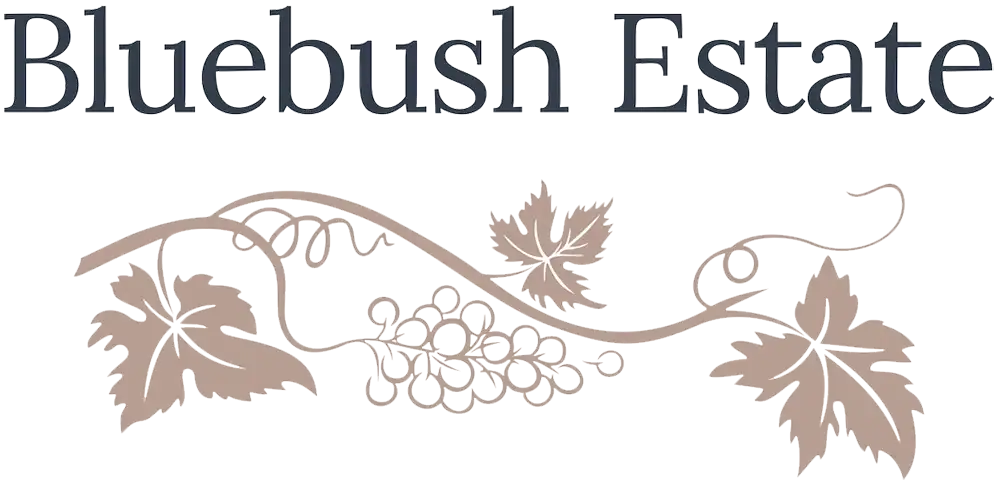 Bluebush Estate - Lovedale accommodation